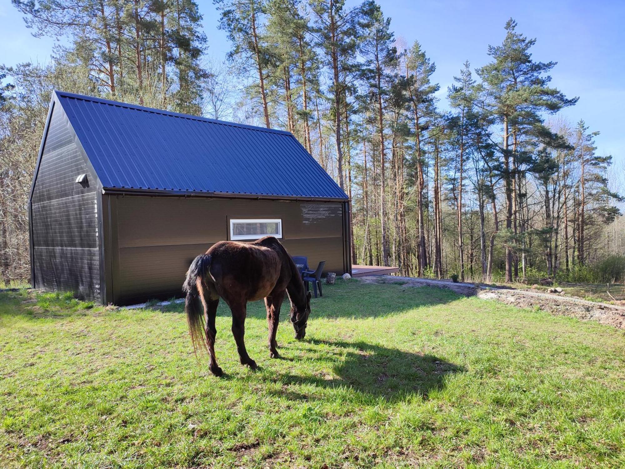 Modern Sauna Cabin In Horse Ranch Liyeplauke ภายนอก รูปภาพ