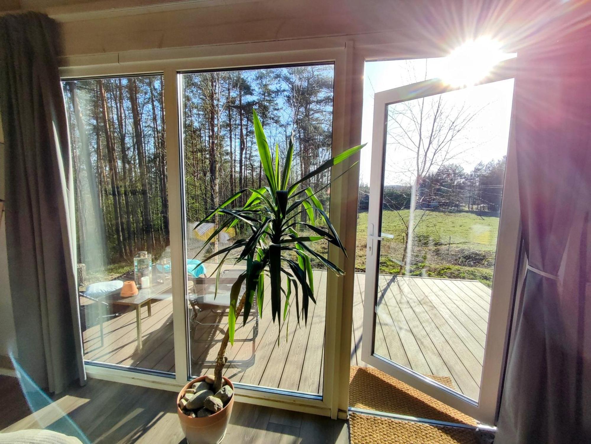Modern Sauna Cabin In Horse Ranch Liyeplauke ภายนอก รูปภาพ
